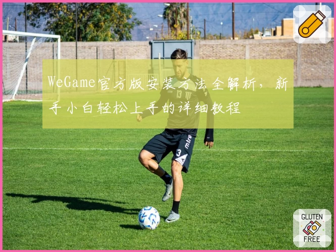 WeGame官方版安装方法全解析，新手小白轻松上手的详细教程